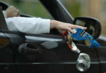 Мусоришь на дороге? Заплати штраф закон