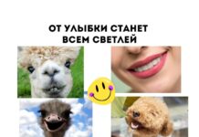 Удивительные факты об улыбке улыбка