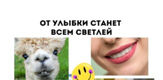 Удивительные факты об улыбке улыбка
