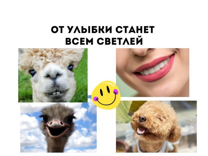 улыбка