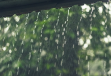 В Приднестровье зафиксировали метеорологический рекорд ПМР погода