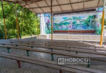 Детский лагерь «Виктория» в Меренештах приостанавливает свою деятельность лагерь "Виктория", приостановил работу