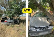 На трассе Тирасполь – Каменка «Тойота» врезалась в дерево ДТП