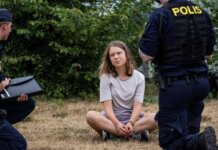 Грета Тунберг нарвалась на неприятности Грета Тунберг. Фото с сайта alldaily.ru