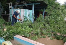 Последствия стихии в Приднестровье последствия непогоды