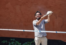 Полиция Швеции разрешила сжечь Коран шведская коран