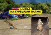 Турция закрыла пляж на курорте из-за обнаружения 28 неразорвавшихся мин Мины на турецком пляже