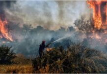 В Греции хаос из за пожаров, эвакуированы уже более 3500 жителей Пожар в Греции Sursa_ stirilekanald.ro