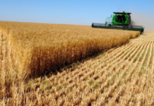 В Молдове протесты фермеров закончились аграрии