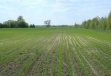 В Приднестровье подвели итоги рекультивации за 2022 год рекультивация земель