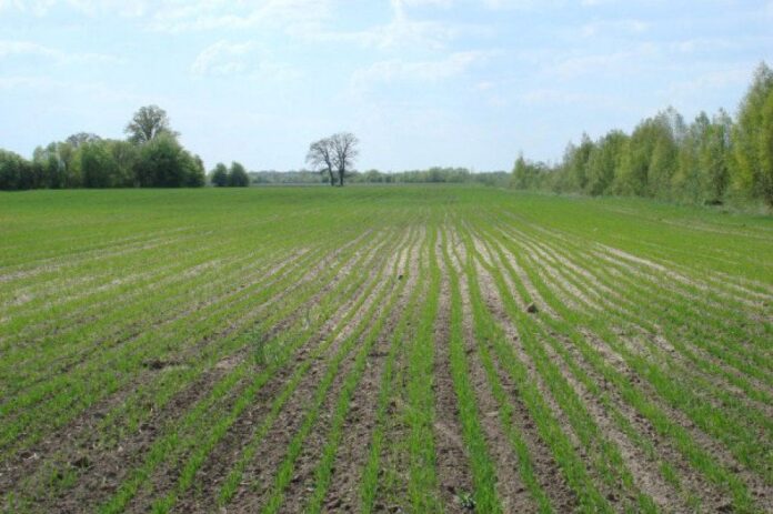 рекультивация земель