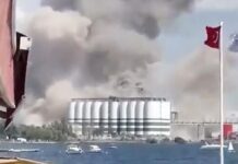 Взрыв в турецком порту Дериндже повредил 13 из 16 элеваторов порт, Турция, взрыв