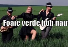 Группа «MusicStorm» сняла клип на песню «Foaie verde bob naut» клип, песня, группа