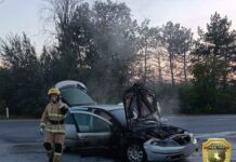 На въезде в Рыбницу водитель едва не сгорел в машине пожар, автомобиль, Ренов