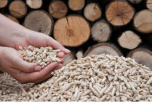 В Молдове рекомендуют закупаться биотопливом заранее Биотопливо