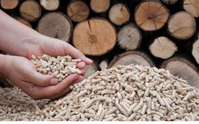 Биотопливо Биотопливо