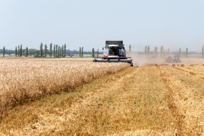 В Приднестровье продолжается сбор урожая урожай, зерновые, уборка