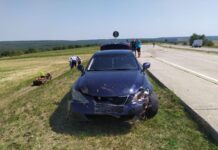 Автомобиль «Лексус» сбил стадо овец ДТП. фото с сайта nokta.md