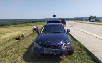 Автомобиль «Лексус» сбил стадо овец ДТП. фото с сайта nokta.md