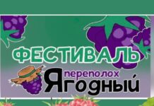 В селе «Садки» пройдёт фестиваль «Ягодный переполох» Фестиваль. Ягодный переполох
