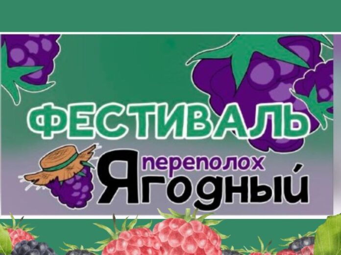 Фестиваль. Ягодный переполох