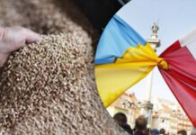 Польша просит у ЕС 1 млрд евро от ЕС для экспорта зерна из Украины Польша, зерно, экспорт, Украина, ЕС