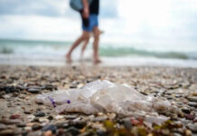 Температура мирового океана поднялась до 20,96°C мировой океан, температура, рекорд