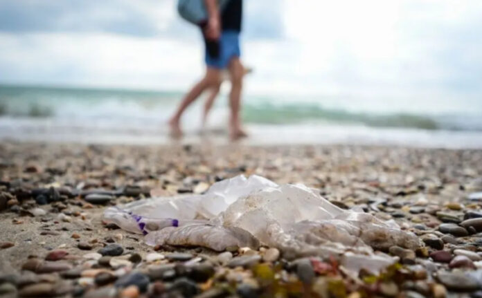 мировой океан, температура, рекорд