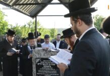 Приднестровье могут посетить 30 тысяч хасидов хасиды, паломники, Рашково