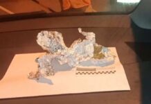 Контрабанда наркотиков не удалась наркотики