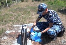 Коноплю вместе с огурцами выращивал на огороде житель села Гиска милиция, конопля