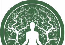 В лагере «Сэнэтате» пройдёт лесной фестиваль Ecochakra экочарка. фестиваль