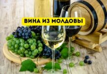 Молдавские вина завоевали золотую и серебряную медали в рейтинге вин США Вина из молдовы