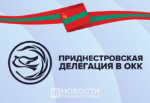 В Приднестровье обеспокоены совместными учениями Молдовы и стран НАТО вблизи Зоны безопасности ОКК, зона безопасности, миротворческая организация