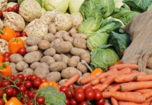 Внутренний рынок Приднестровья обеспечен отечественными сезонными овощами овощи, продовольственная безопасность, Минсельхоз природы, Приднестровье