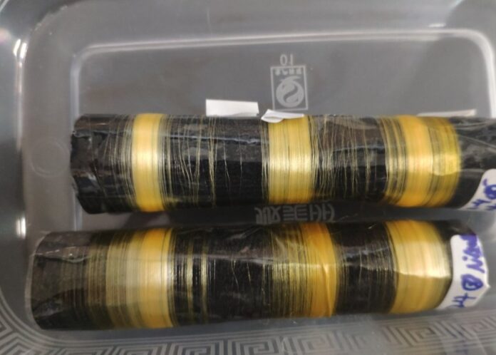 Шелковые волокна, полученные модифицированными шелкопрядами волокно, ученые, паутина