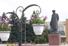 В Рыбнице продолжаются работы по озеленению города вертикальное озеленение, Рыбница