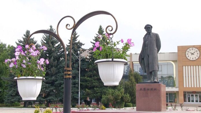 вертикальное озеленение, Рыбница