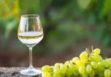 Самый крупный производитель вина: Молдова во главе рейтинга 2024