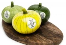 Цуккиоло: Новый овощ с Южной Америки