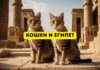 Кошки в Древнем Египте: их роль и влияние