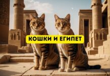 Кошки в Древнем Египте: их роль и влияние