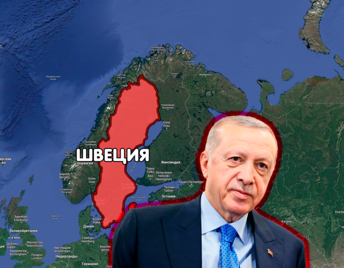 Эрдоган одобрил вступление Швеции в НАТО Эрдоган, Турция, НАТО, Швеция