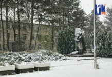 Погода 27 ноября 2023 года в Приднестровье погода, снег,