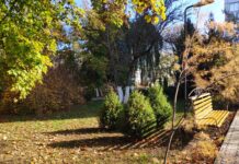 Погода 9 ноября 2023 года в Приднестровье