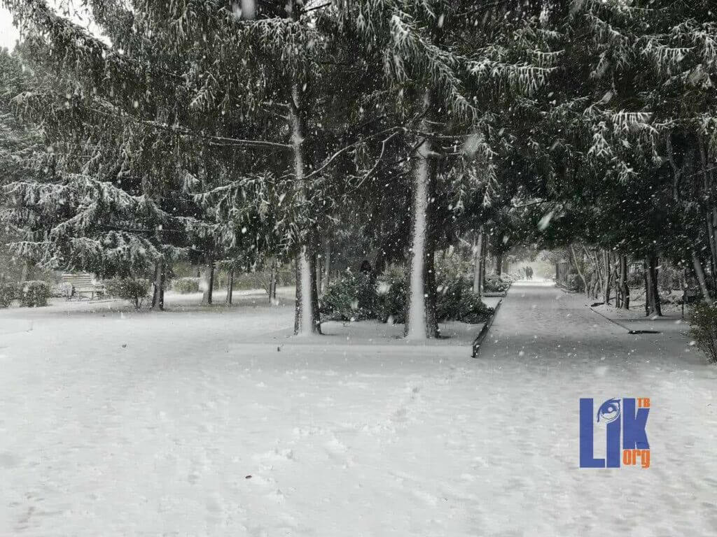 снегопад, Приднестровье, стихия, последствия, погода