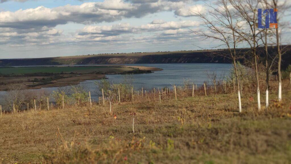 погода, пасмурно, облачность