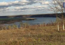 Погода 14 ноября 2023 года в Приднестровье погода, пасмурно, облачность