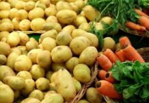 Вывоз овощей из Приднестровья: порядок изменен овощи, экспорт, таможня