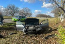 ДТП в Рыбницком районе: иномарка врезалась в дерево ДТП, травмы, иномарка, авария